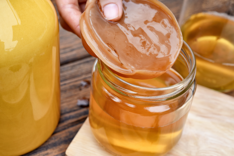 How to Grow a SCOBY from Kombucha